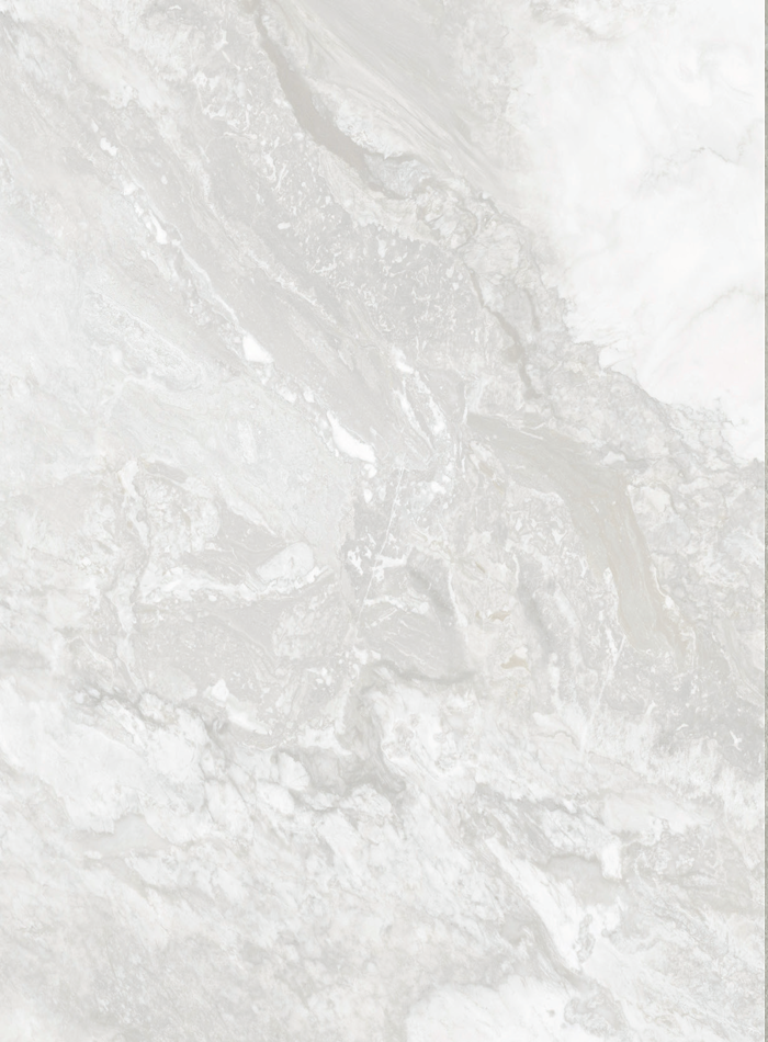 DutchLine - SPC Wandpaneel Y123 - 1200x2400x4